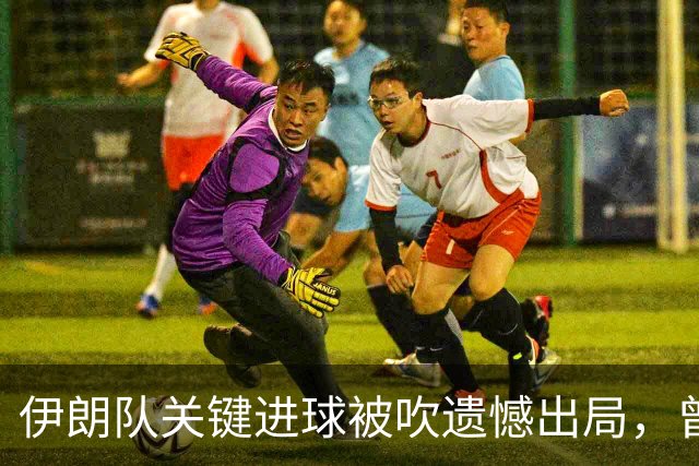 伊朗队关键进球被吹遗憾出局，曾任教哈佛大学的伊朗学者向FIFA索赔10亿美元
