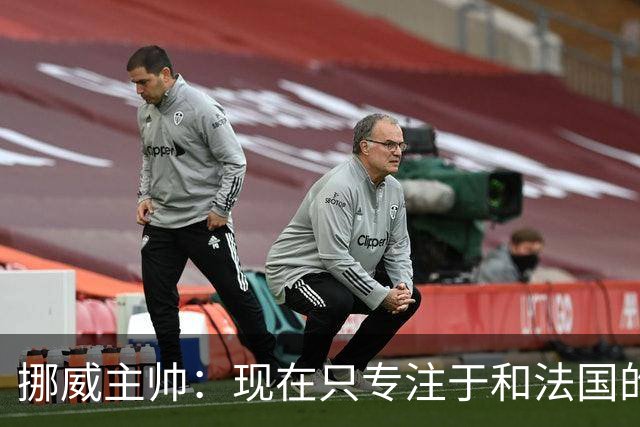 挪威主帅：现在只专注于和法国的比赛，没去想淘汰赛碰谁